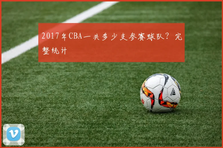 2017年CBA一共多少支参赛球队?完整统计