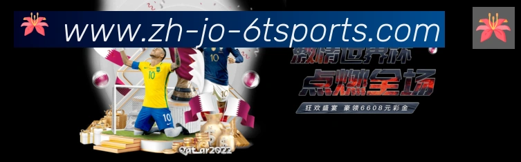 6t体育荣誉